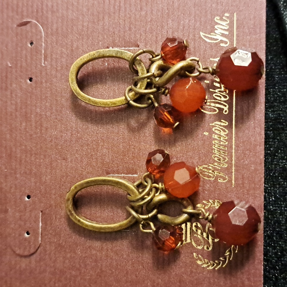 Premier Designs Post Beaded Dangle Earrings